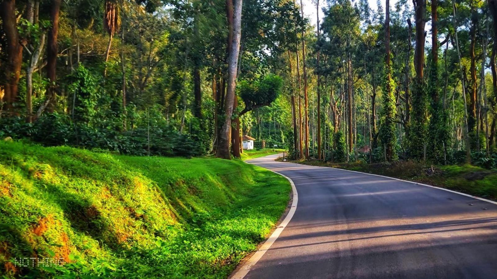 Coorg Divine Spark Home Stay Suntikoppa Exteriör bild