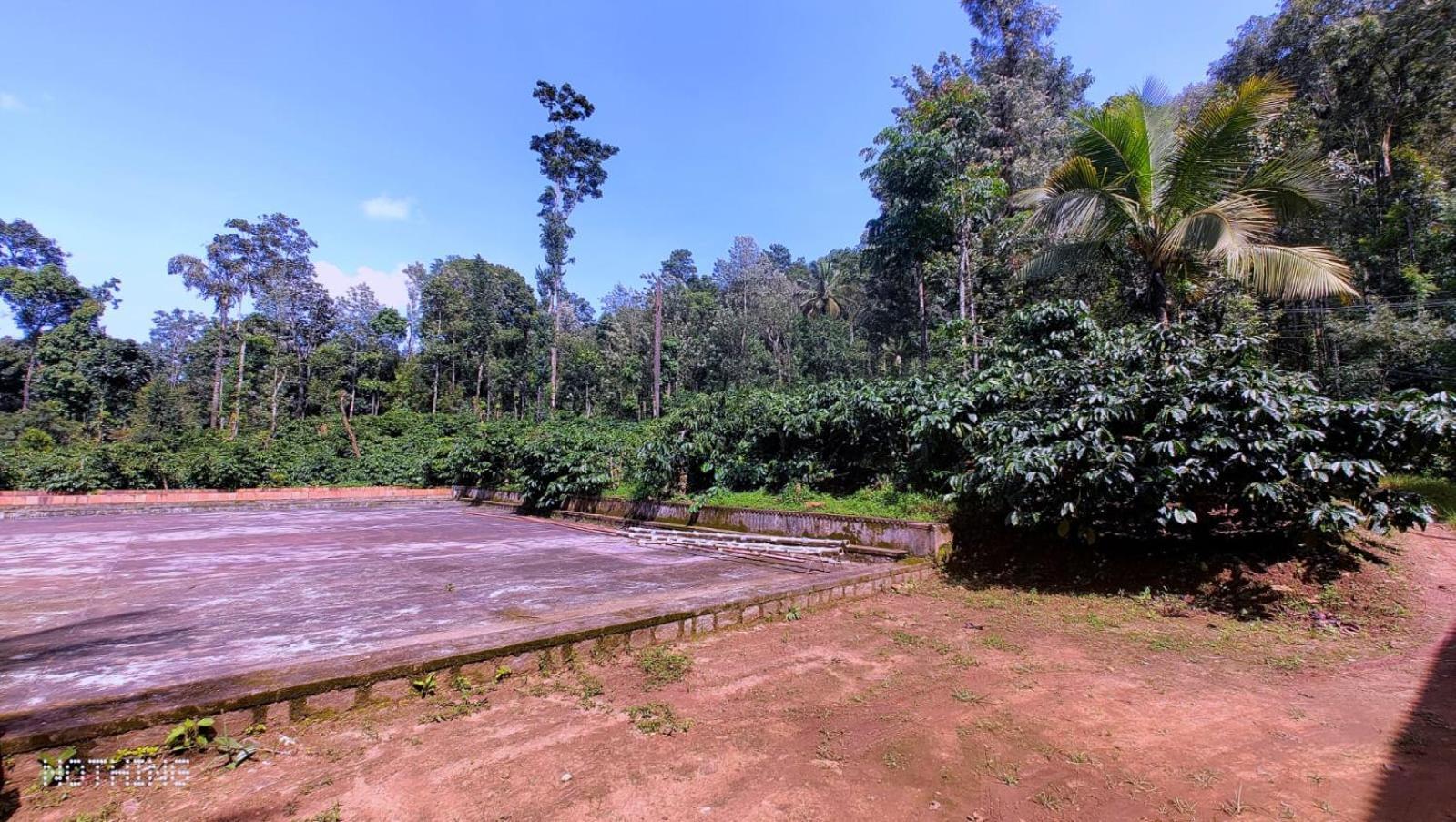 Coorg Divine Spark Home Stay Suntikoppa Exteriör bild
