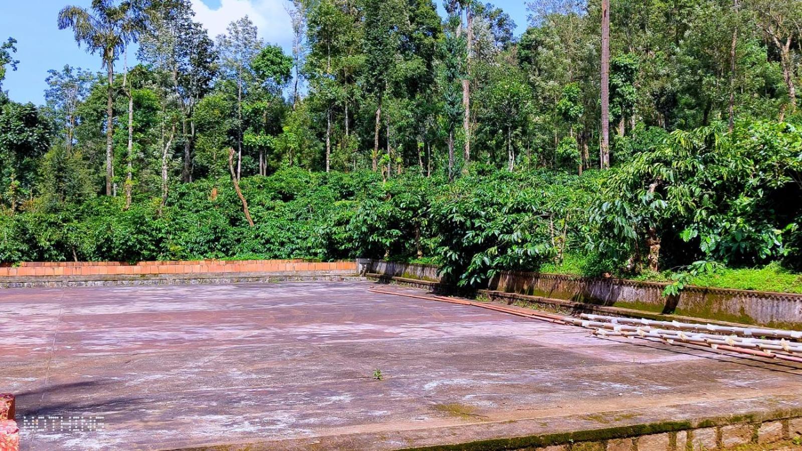 Coorg Divine Spark Home Stay Suntikoppa Exteriör bild