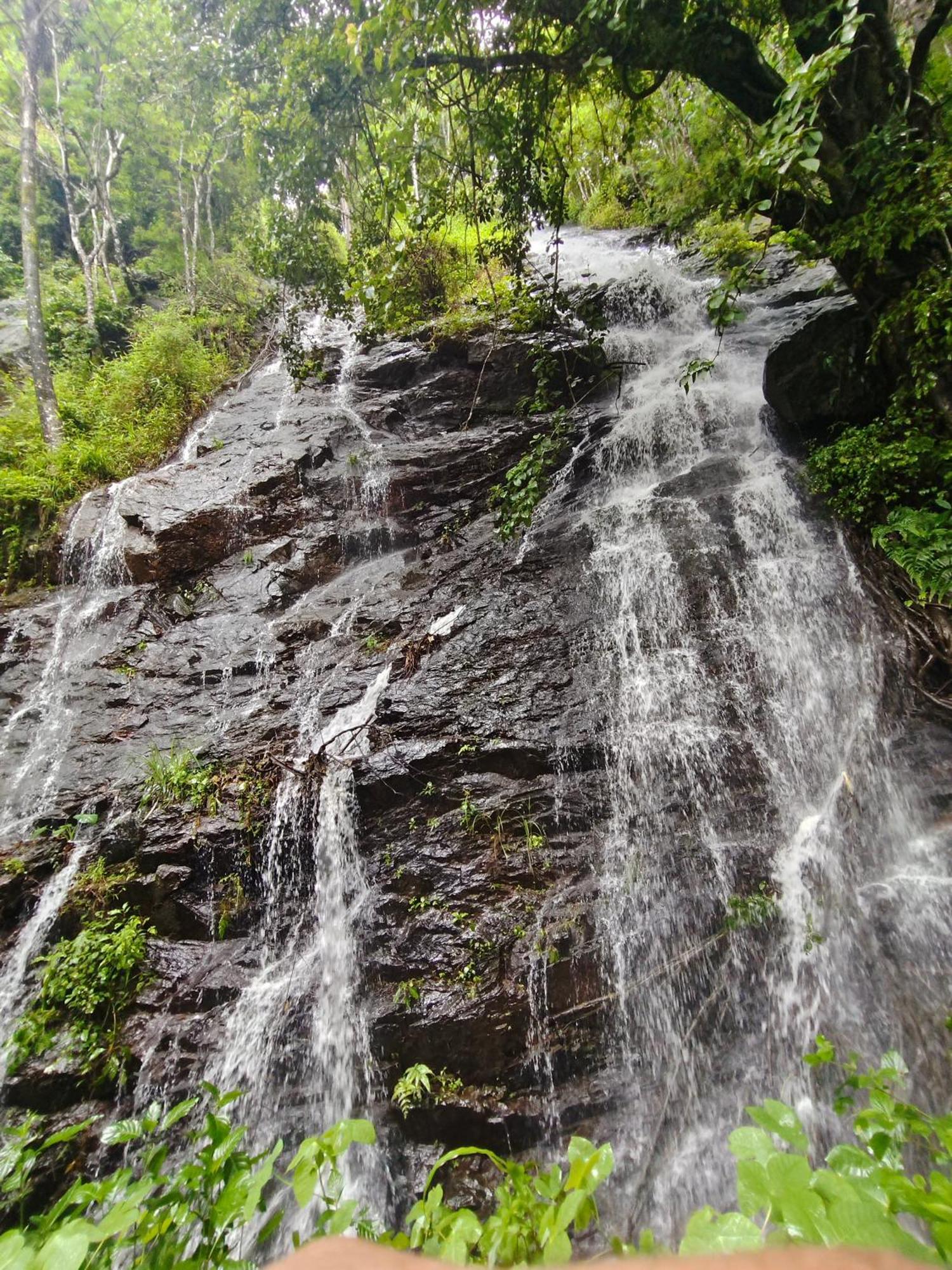 Coorg Divine Spark Home Stay Suntikoppa Exteriör bild